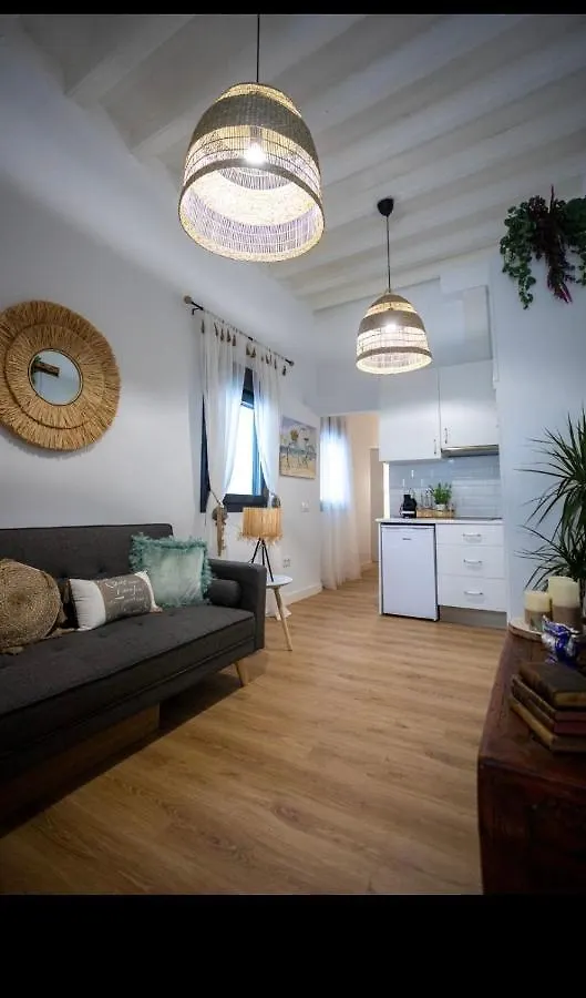 Appartement Pitusa Home Cádiz Spanje