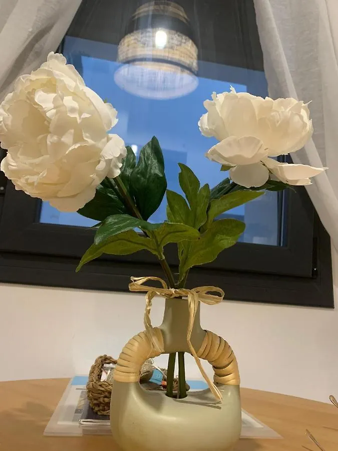 Appartement Pitusa Home Cádiz